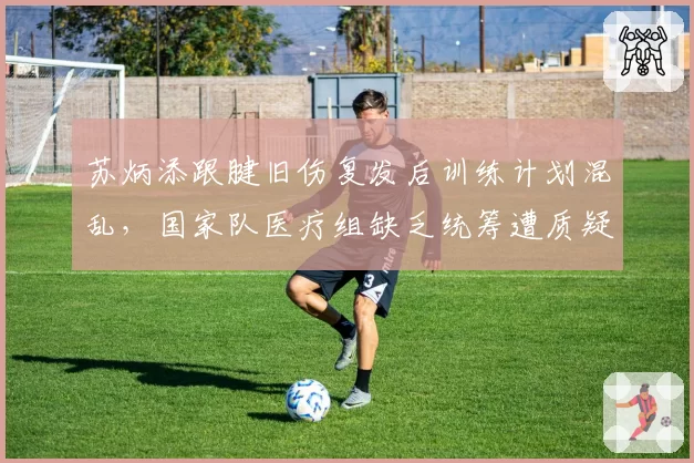 苏炳添跟腱旧伤复发后训练计划混乱,国家队医疗组缺乏统筹遭质疑
