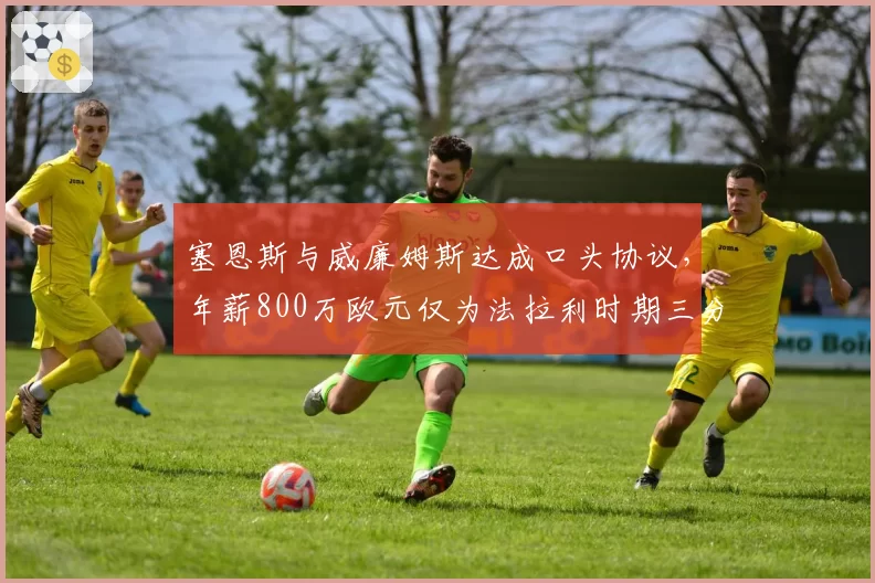 塞恩斯与威廉姆斯达成口头协议，年薪800万欧元仅为法拉利时期三分之二