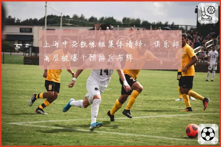 上海申花教练组集体请辞,俱乐部高层被爆干预排兵布阵